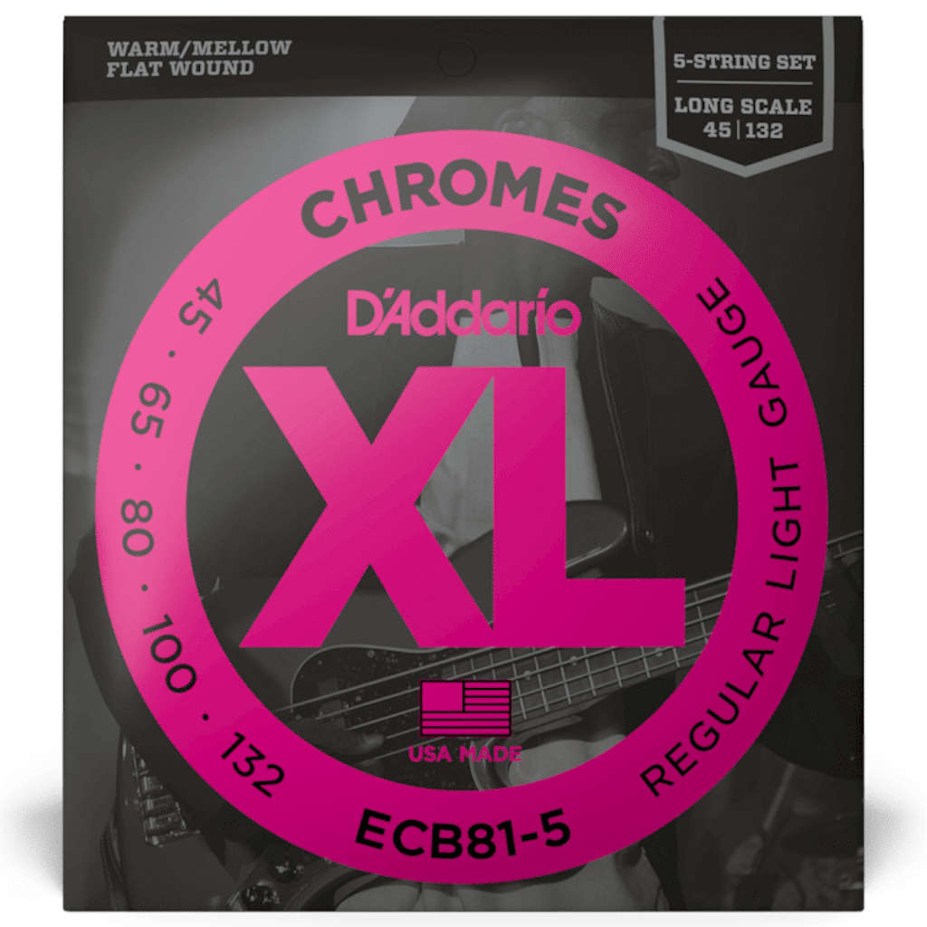 D'addario ECB81-5 Regular Light 5-String Long Scale Bass Strings - (45-132)