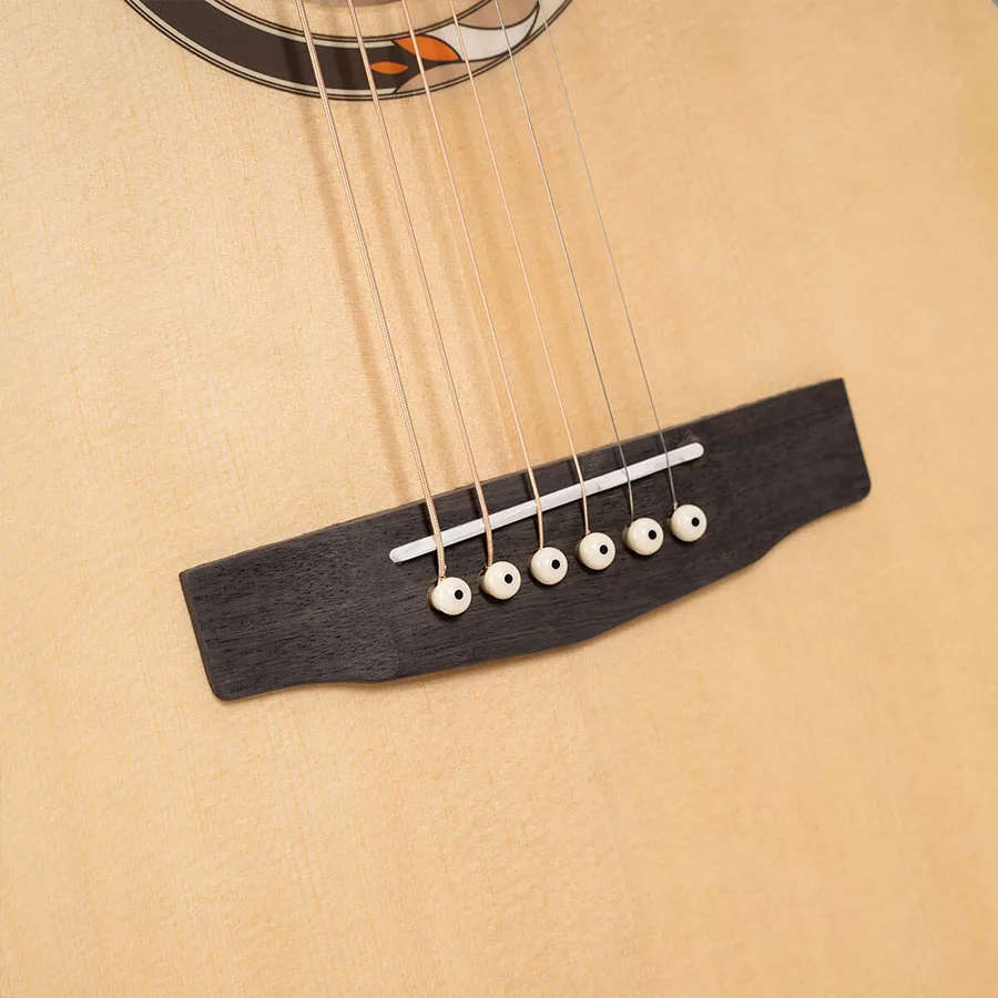 Cort Arium OM Orchestra Model Acoustic Guitar - Sitka Spruce Top