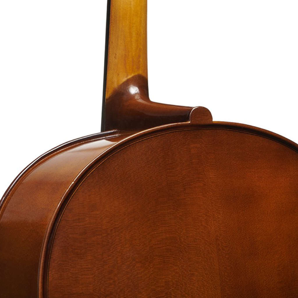 Stentor Student II 1/2 (half-size) Cello Outfit