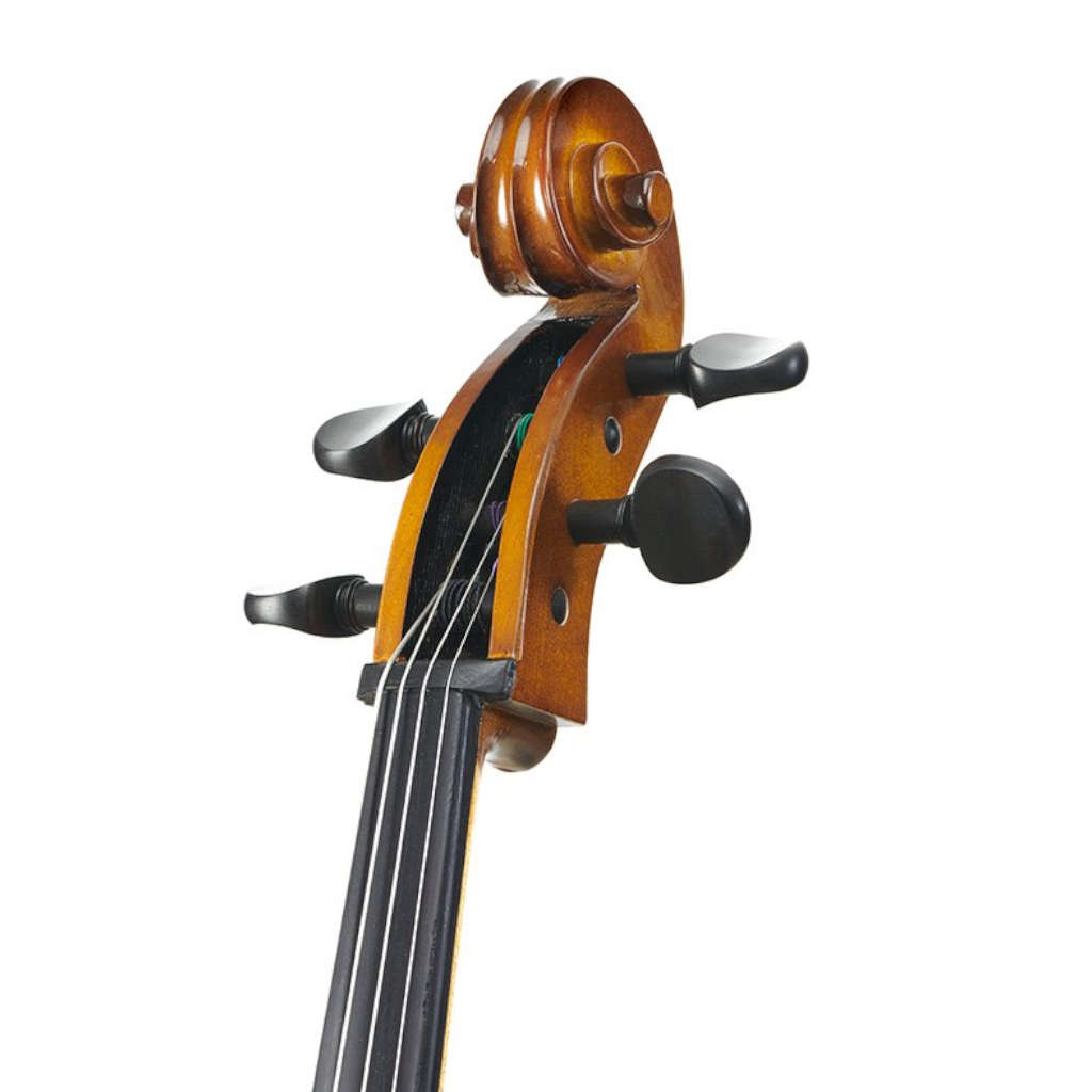 Stentor Student II 1/2 (half-size) Cello Outfit
