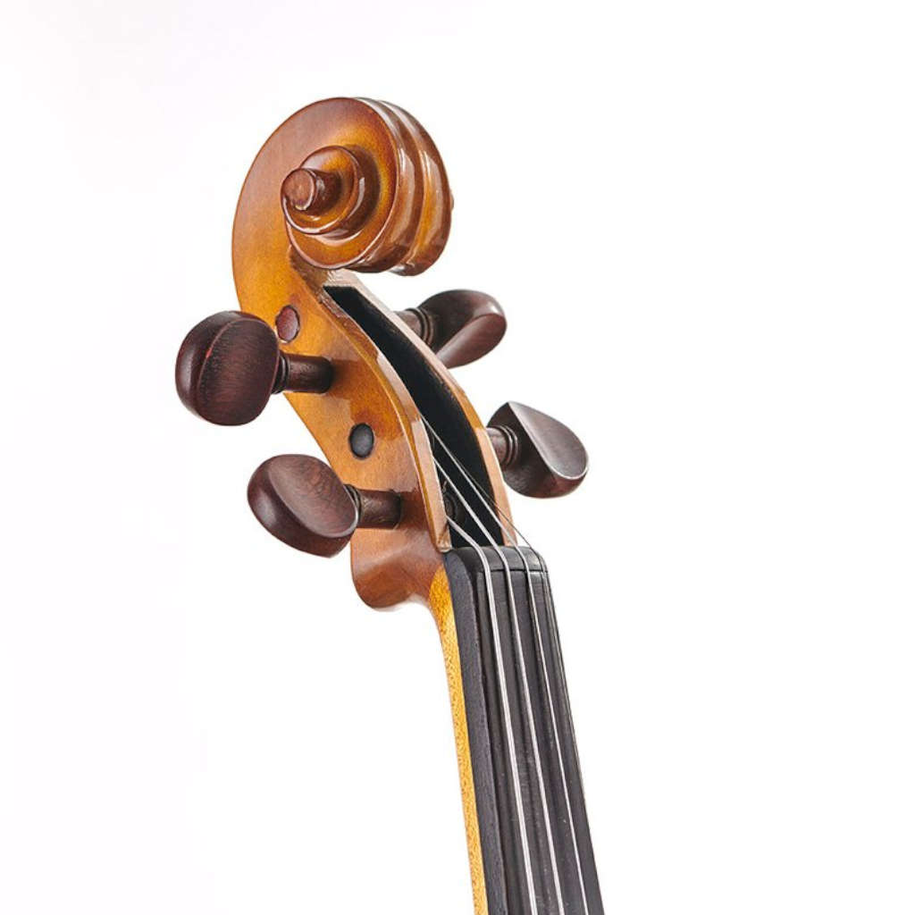 Stentor Student I 4/4 (full-size) Violin Outfit
