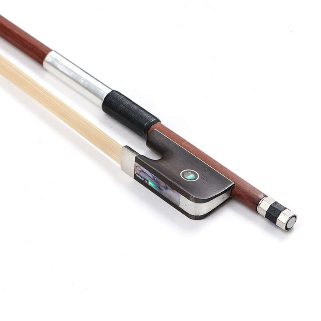 Stentor Student II Viola Outfit  15.5