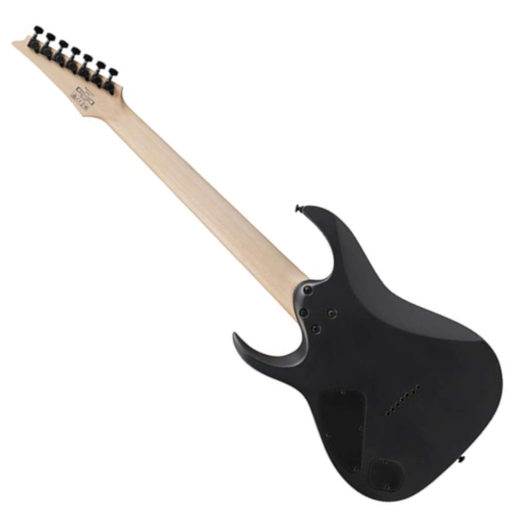 Ibanez Standard RGA742EX 7-string Electric Guitar - Black Aurora Burst Matte