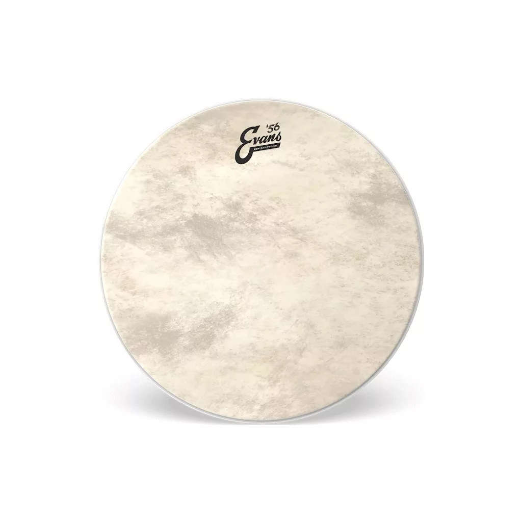 Evans EQ4 Calftone Coated 22" Drumhead