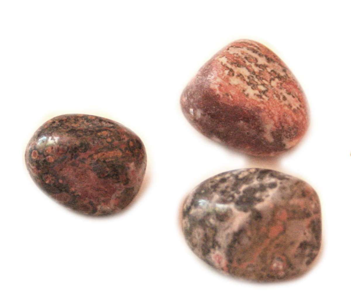 Leopard jasper tumble, no hole, 15-20mm approximately - Silver Hills 0.02kg