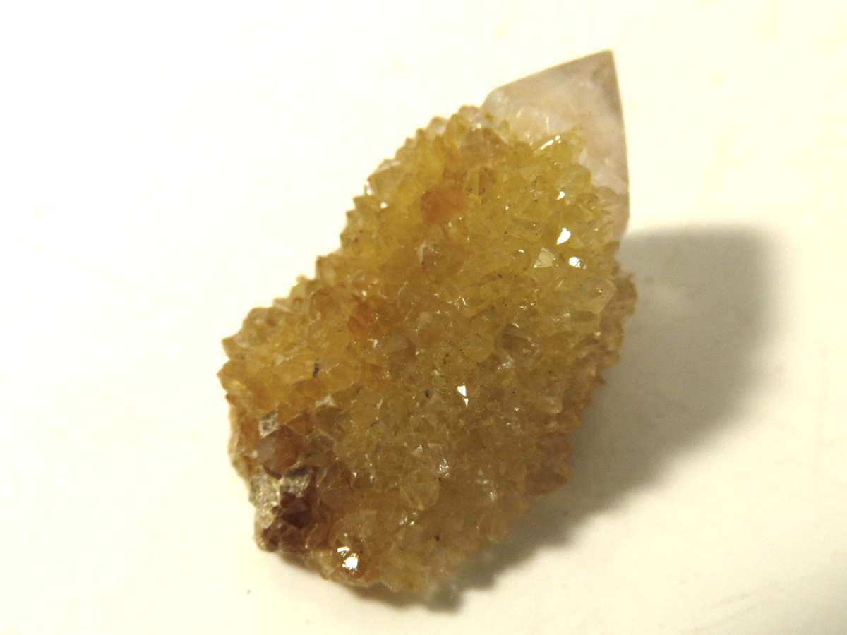 Citrine single point Boekenhouthoek 1-3cm - Silver Hills 0.03kg