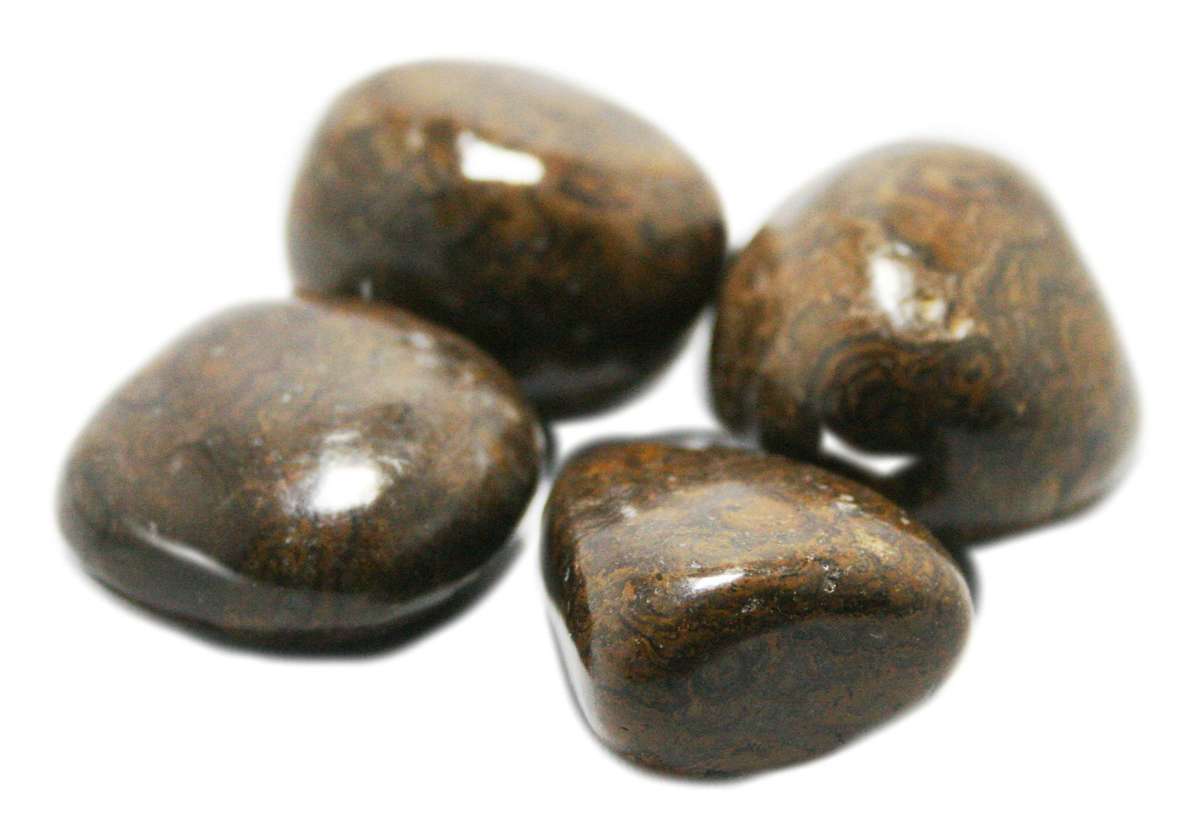 Stromatolite tumble 30-40mm - Silver Hills 0.02kg
