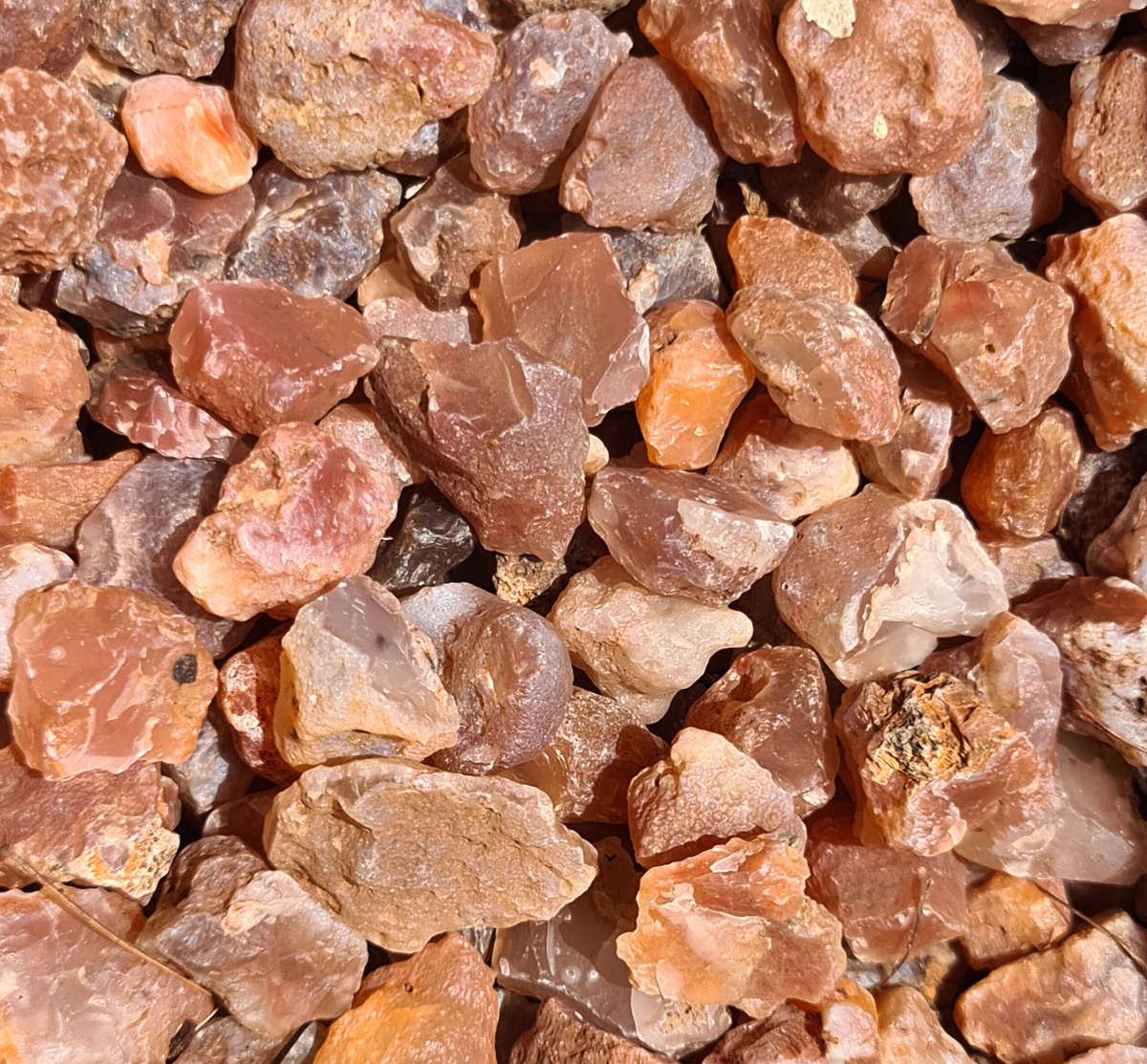 Rough Carnelian, 1-3cm