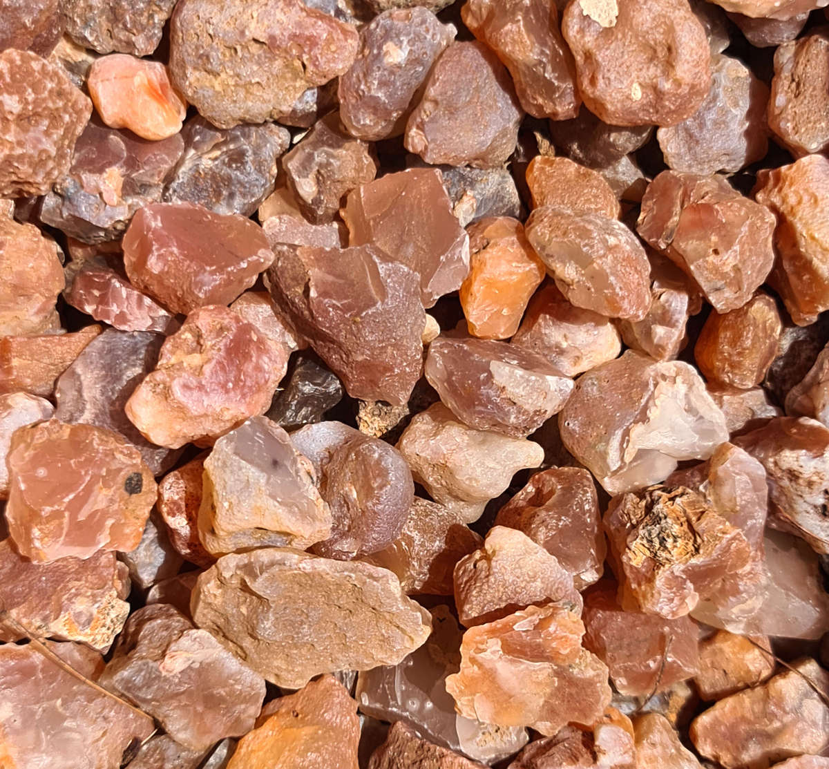 Rough Carnelian, 1-3cm