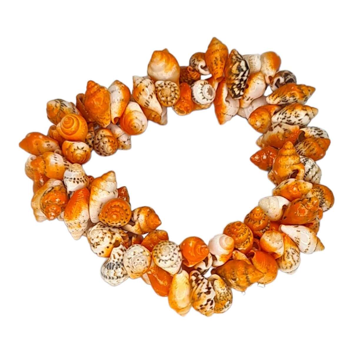 Shell bracelet, orange, stretchcord