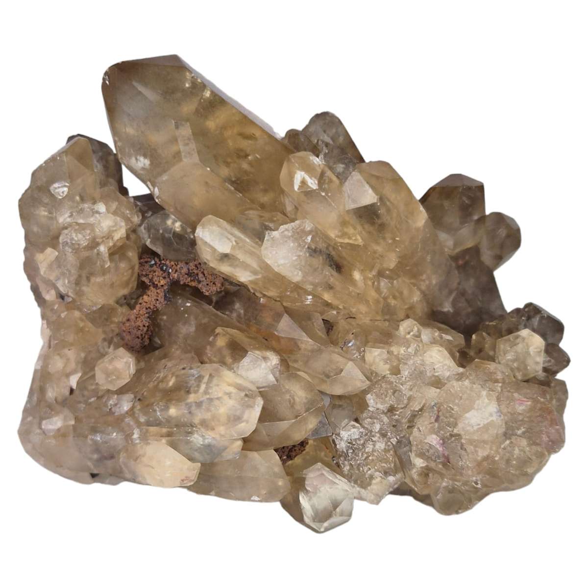 Citrine point cluster, Congo, 50mm
