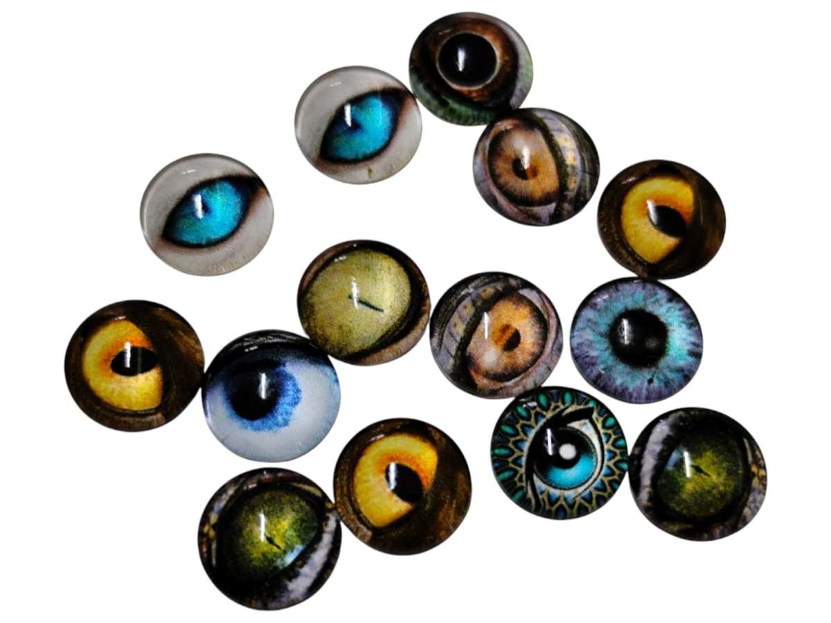 Pair of dome assorted eyes, 10mm in diameter, assorted colours
