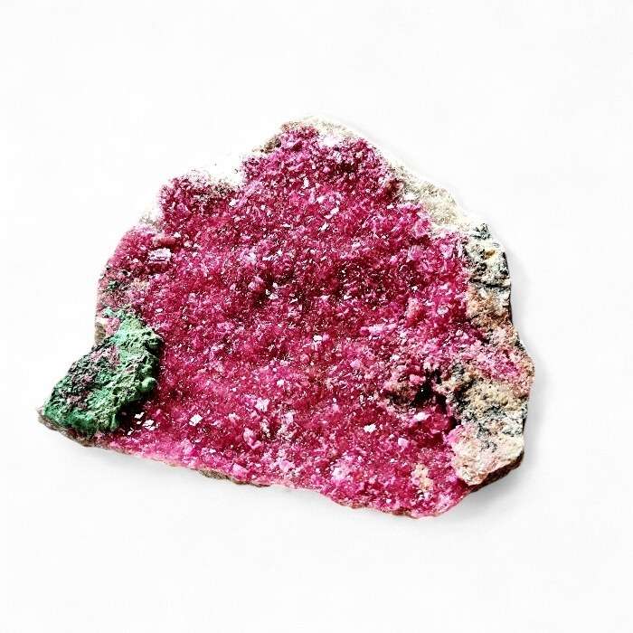 Vibrant Salrose Rough (80-90mm)  DRC