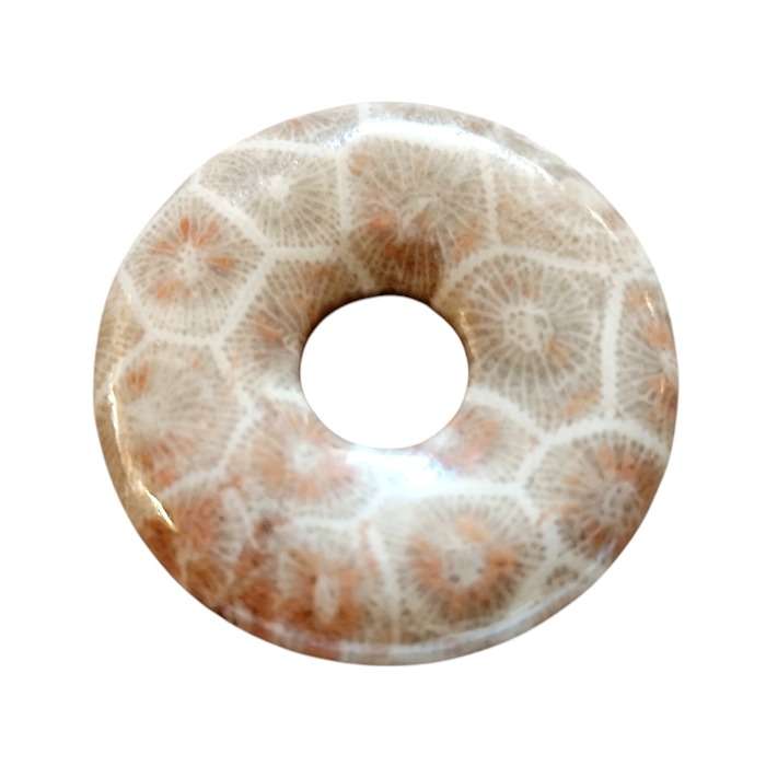 Fossil coral donut, 25mm with 7mm diameter hole