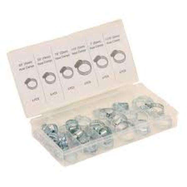 Micro-Tec 34Pcs Hose Clamp Assortment | I45348