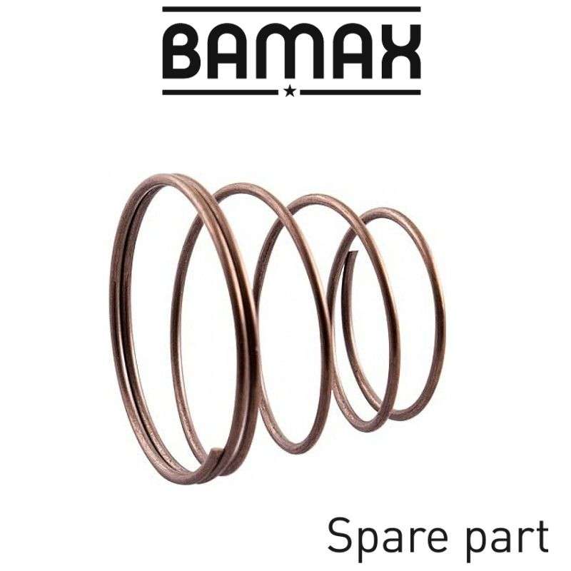 BAMAX - SPRING FOR 3/4" NON RETURN VALVECOM4005-4