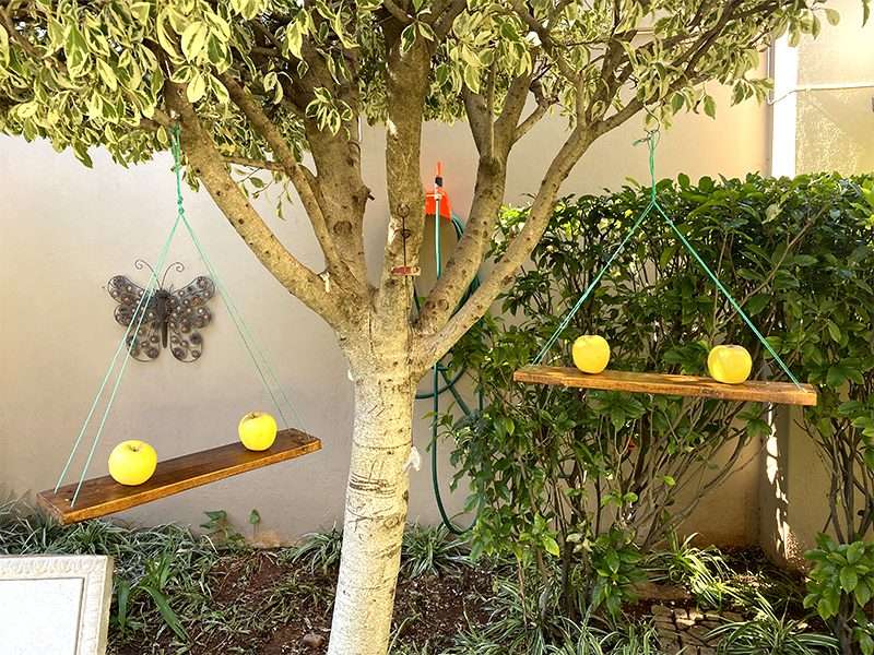 Eco Friendly Bird Fruit Feeder