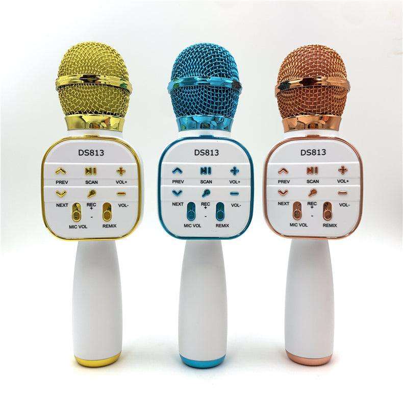 Wireless Microphone HiFi Speaker for Kids (DS813)