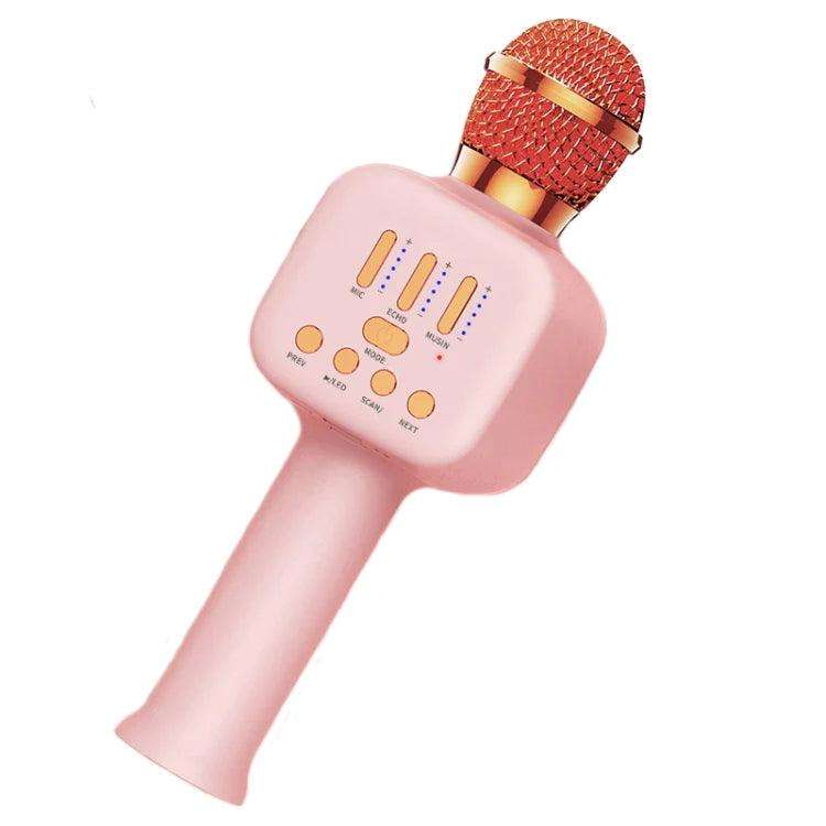 Wireless Microphone HiFi Speaker for Kids (Q13)