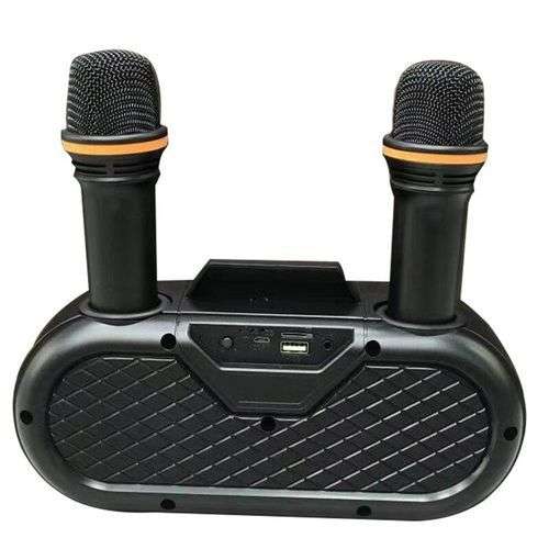 Wireless Bluetooth Karaoke Speaker SD303