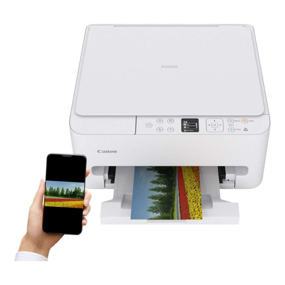 Canon PIXMA TS6540i A4 Wi-Fi Multifunction Colour Inkjet Printer 7179C009