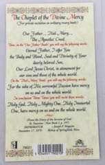 Catholic Divine Mercy Holy Card - 2.80g