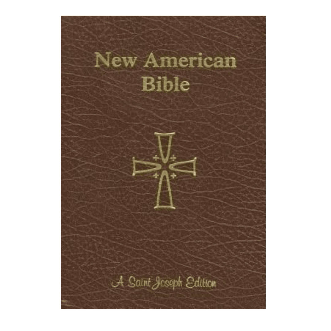 Catholic The New American Bible -Indian Edition