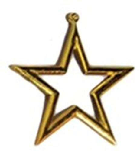 Shiny Gold Star - 8cm