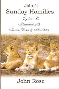 John's Sunday Homilies - Cycle C