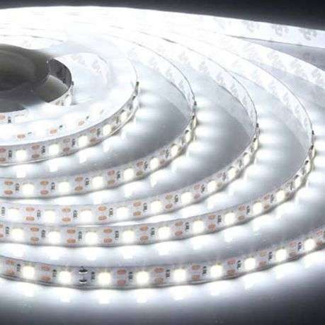 Eurolux - Cool White 5m LED Strip - Eurolux - Cool White 5m LED Strip