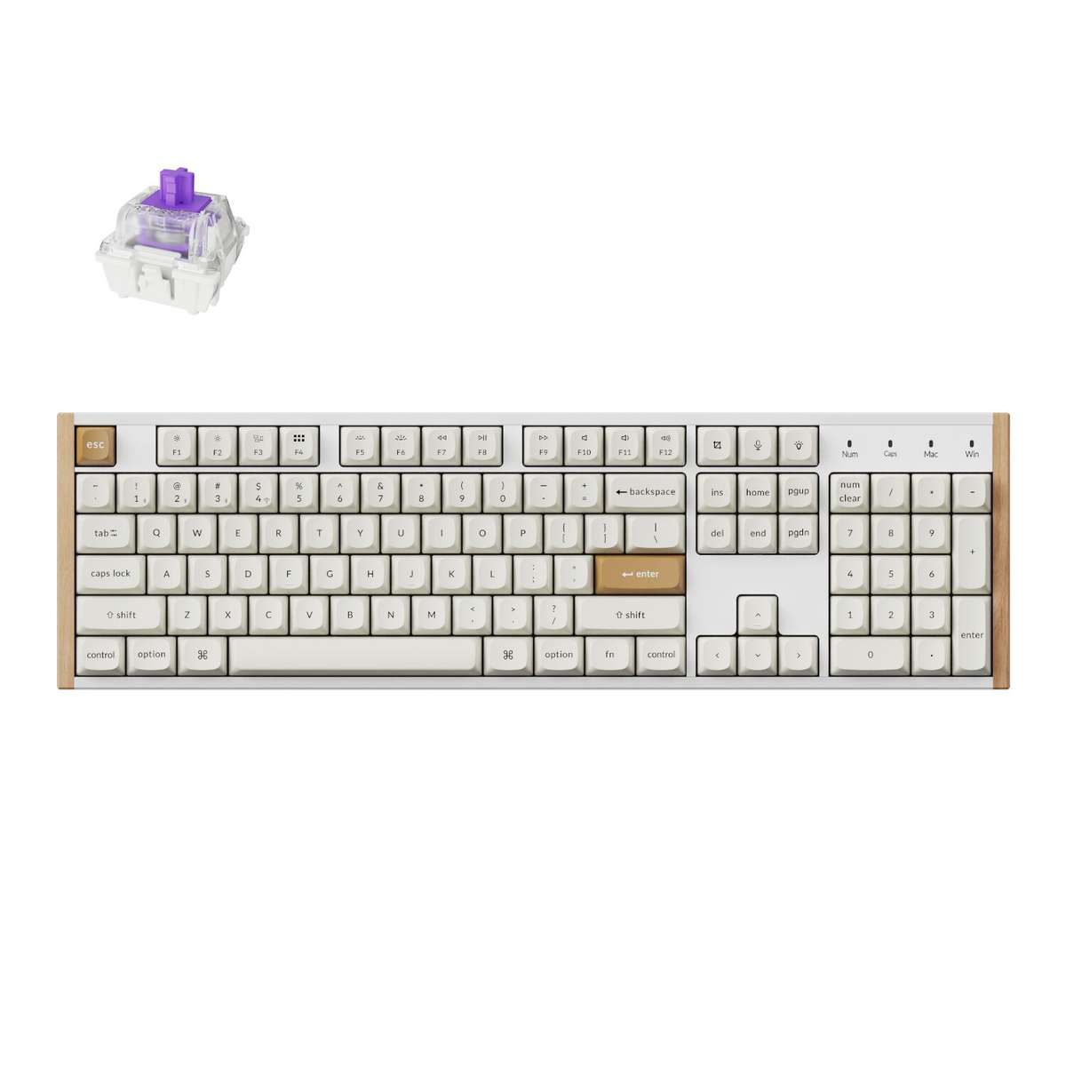 Keychron - K10 HE Special Edition Full-size Hot-Swap Gateron Dbl-Rail Nebula Switch RGB Wireless ...