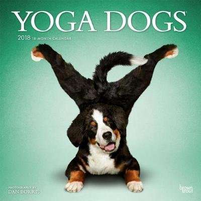 2018 Yoga Dogs Wall Calendar (Calendar)