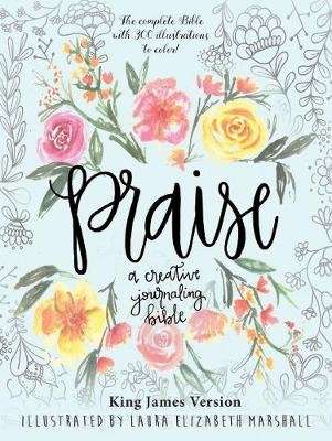 Praise: A Creative Journaling Bible (Hardcover)