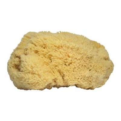 Handover Natural Sea Sponge Extra Large
