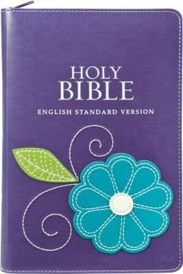 ESV Holy Bible - Standard (Leather / fine binding)