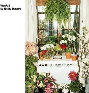 We Fall (CD)