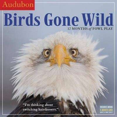 Audubon Birds Gone Wild Wall Calendar 2018 (Calendar)