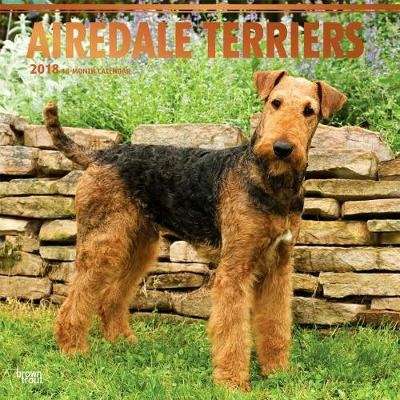 2018 Airedale Terriers Wall Calendar (Calendar)