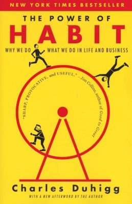 The Power of Habit - Why We Do What We Do in Life and Business (Paperback)