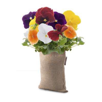 Microgarden GrowBag (Pansy Clear Crystal Mix)