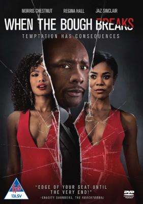 When The Bough Breaks (DVD)