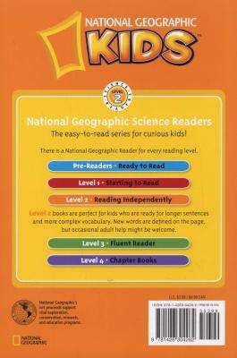 Penguins (Paperback)