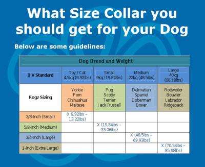 Rogz Utility Lumberjack Obedience Half-Check Dog Collar - Extra Large 25mm (Black Reflective)