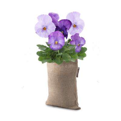 Microgarden GrowBag (Pansy Lavender Shades)