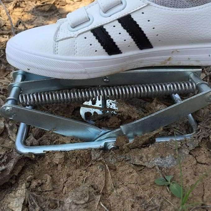 Easy Set Mole Trap