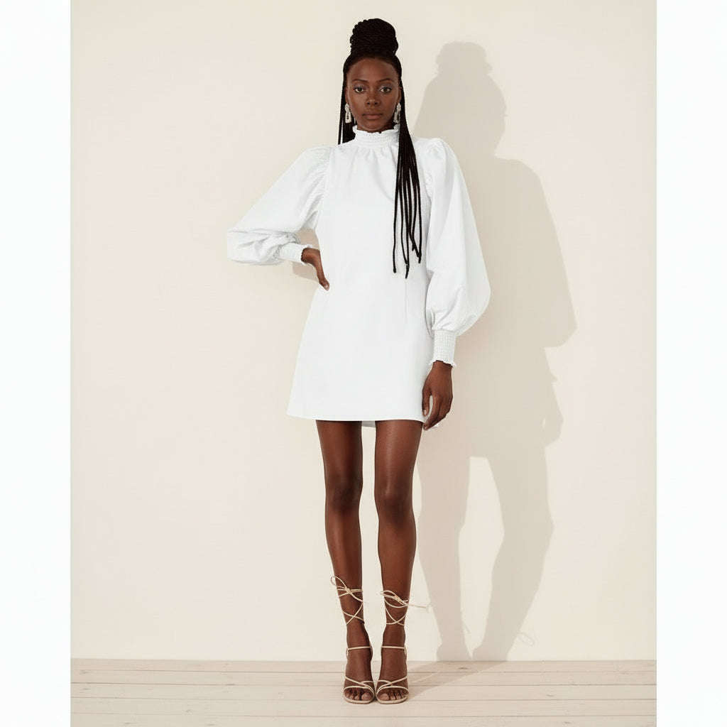 Puff Sleeve Mini Dress 