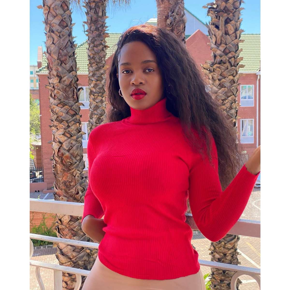 Turtleneck Sweater Polo Neck - WHITE / L/XL