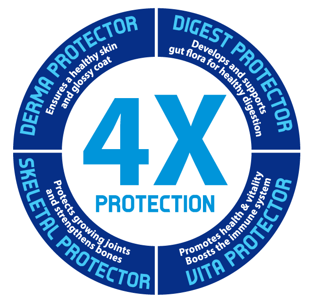 ­­LifeStyle Puppy Dog Food (Prices From)