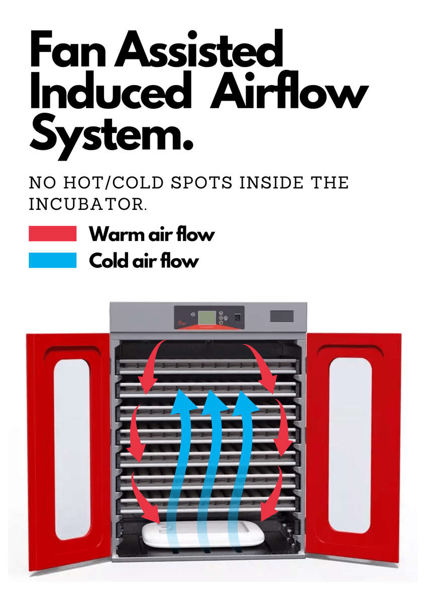 Advanced 1000-Egg Incubator - Perfect for Both Setting and Hatching