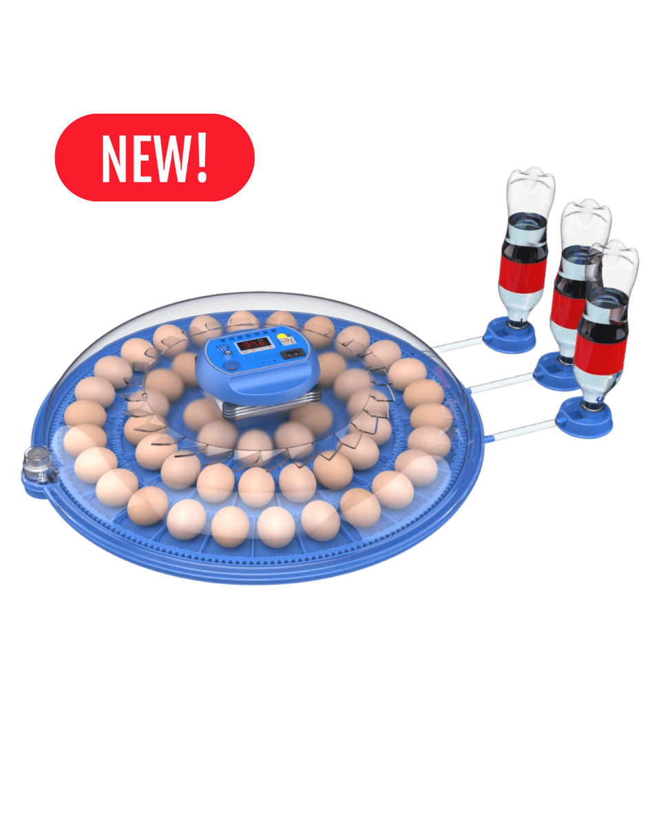 52 ROUND EGG INCUBATOR - DUAL VOLTAGE